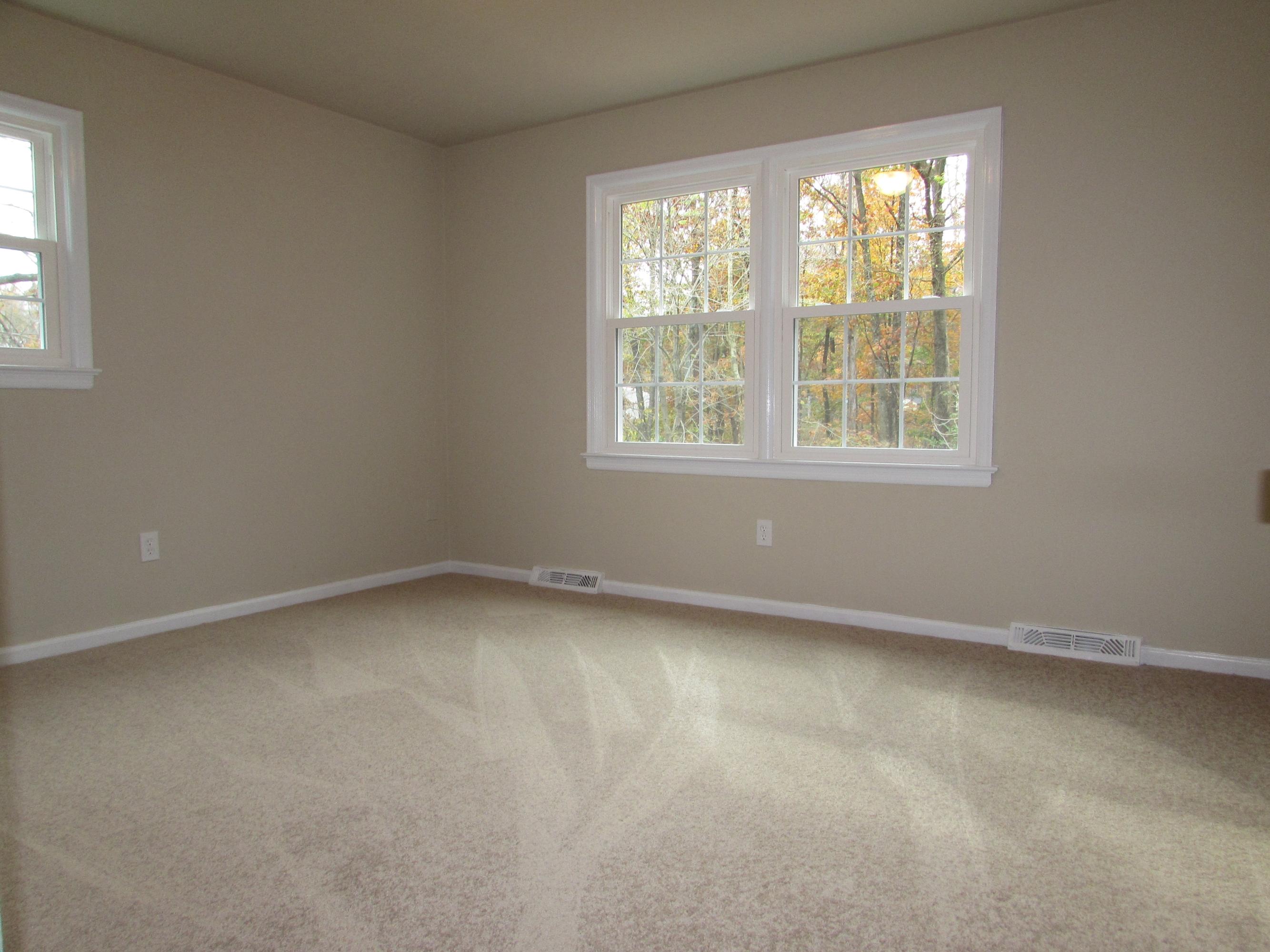 249 Scalybark Drive Blue Ridge, VA 24064 - Photo 7 of 22 Bedroom 1