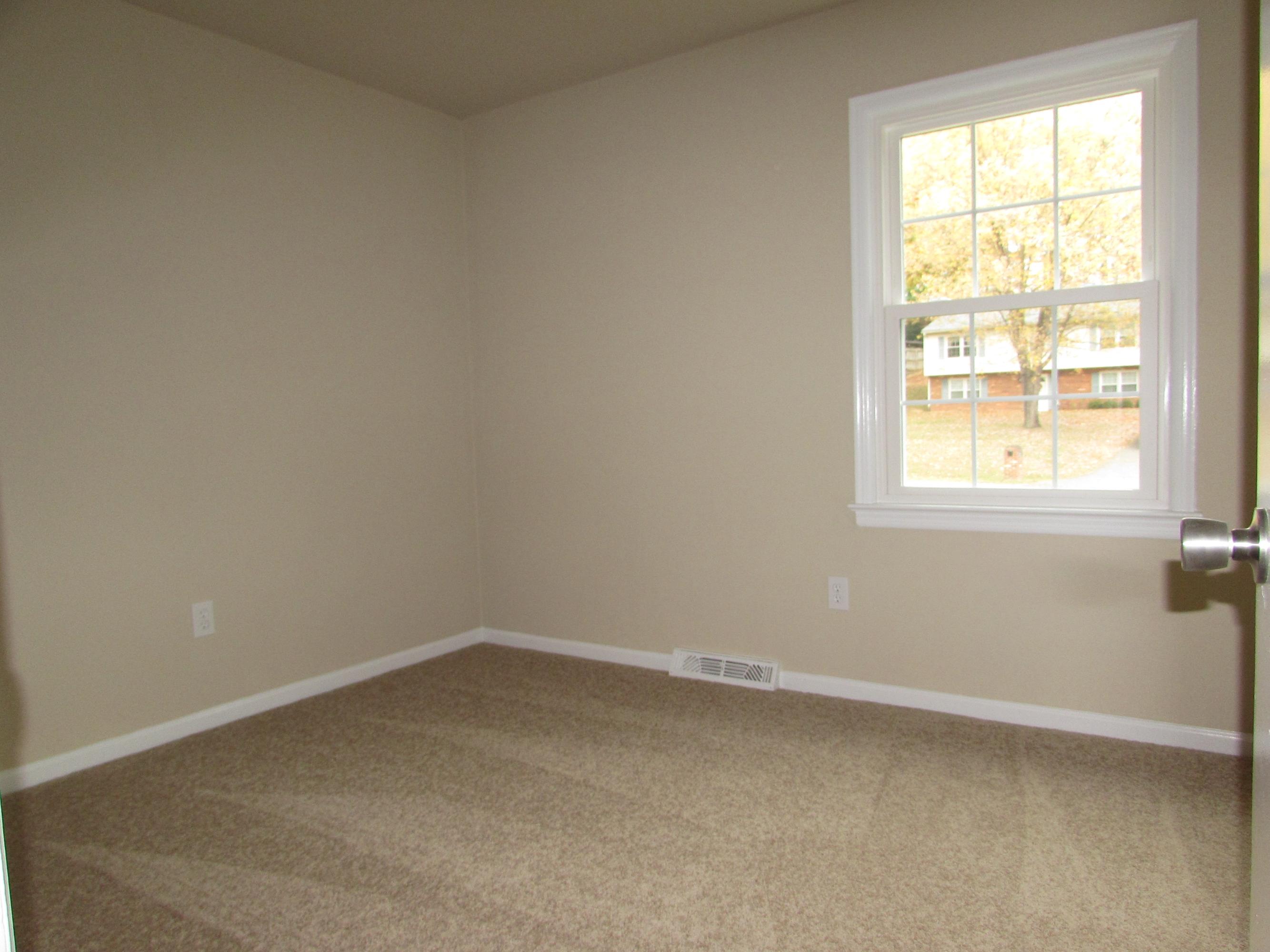 249 Scalybark Drive Blue Ridge, VA 24064 - Photo 9 of 22 Bedroom 3