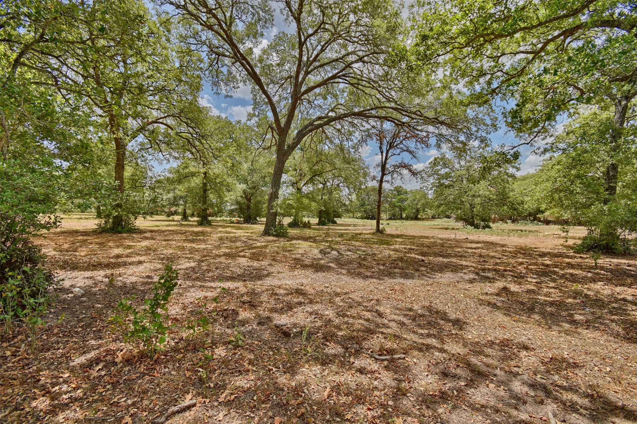 3775 Old Gay Hill Road Brenham, TX 77833 - Photo 11 of 13 a view of dirt field with trees