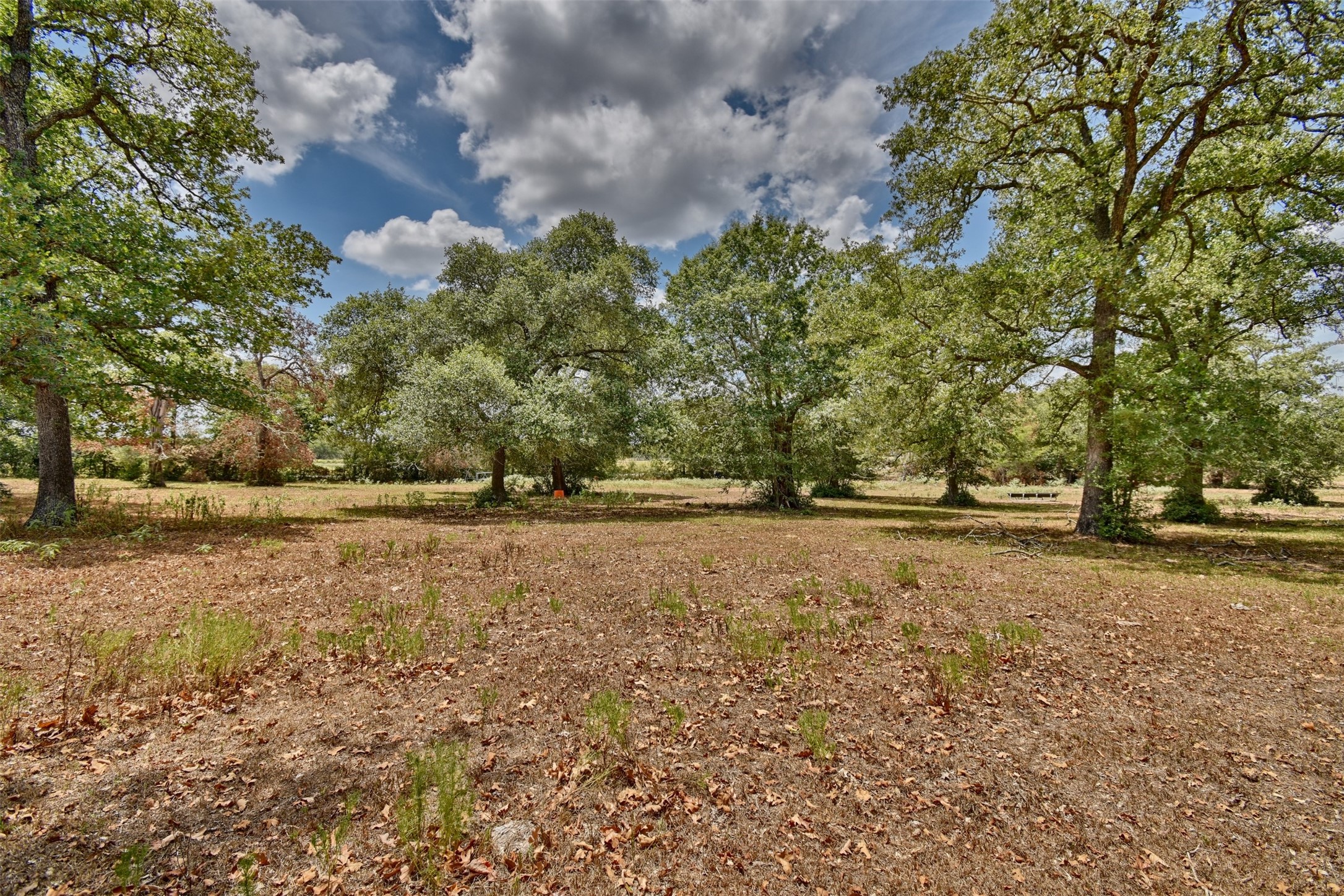 3775 Old Gay Hill Road Brenham, TX 77833 - Photo 10 of 13 a view of dirt field with trees