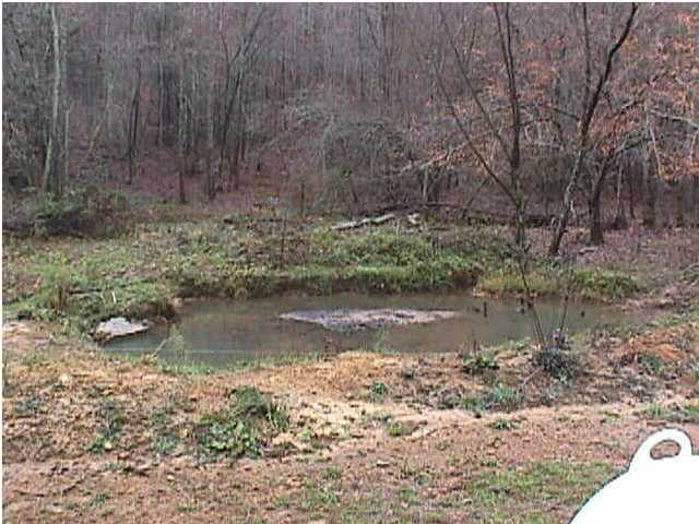 0 Dunn Road Spring City, TN 37381 - Photo 5 of 7 Additional Photo