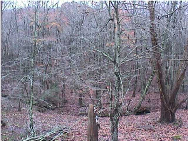 0 Dunn Road Spring City, TN 37381 - Photo 6 of 7 Additional Photo