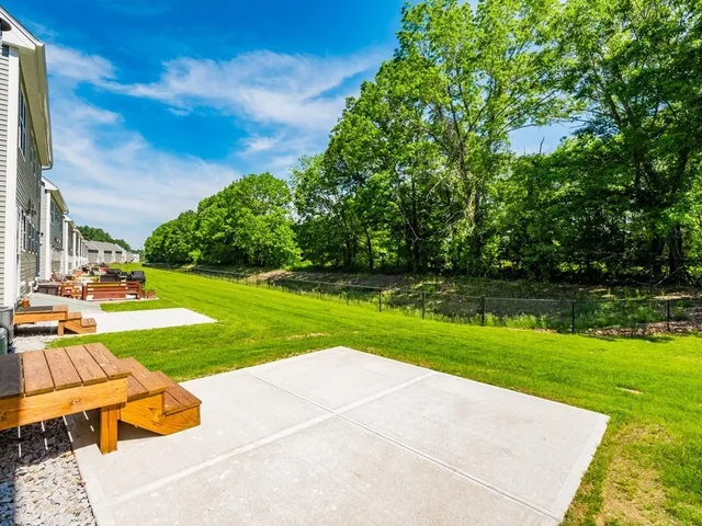 a view of a park with large trees