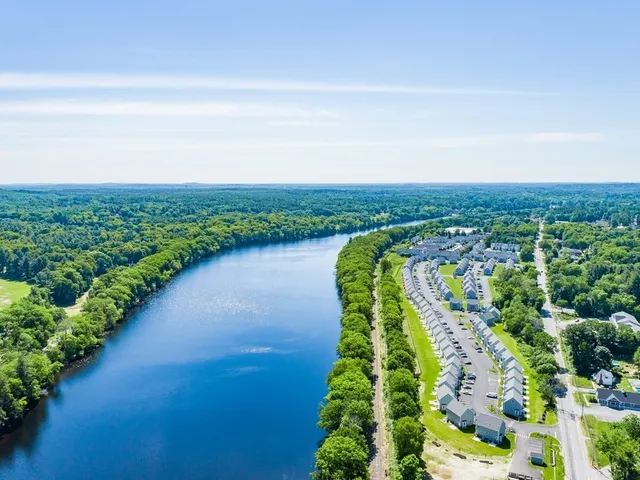 a view of a lake with a city view
