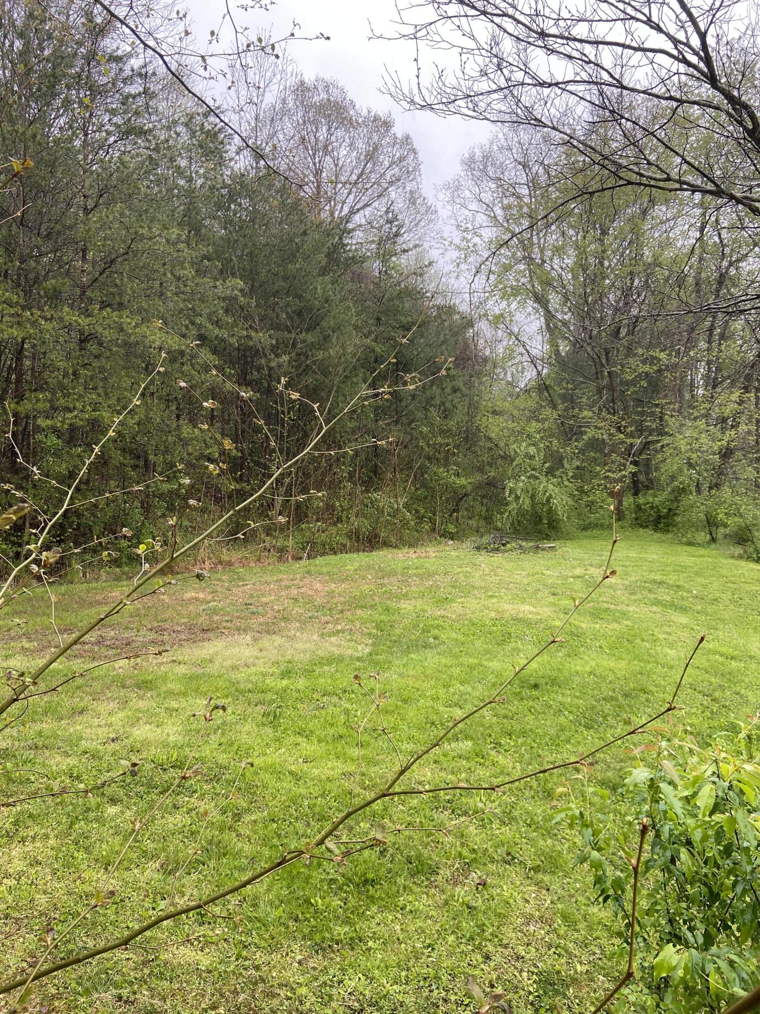 310 Freestone Road Morehead, KY 40351 - Photo 15 of 28 635EBBB4-10BB-4AA9-9C2F-3D2C7028ACF9