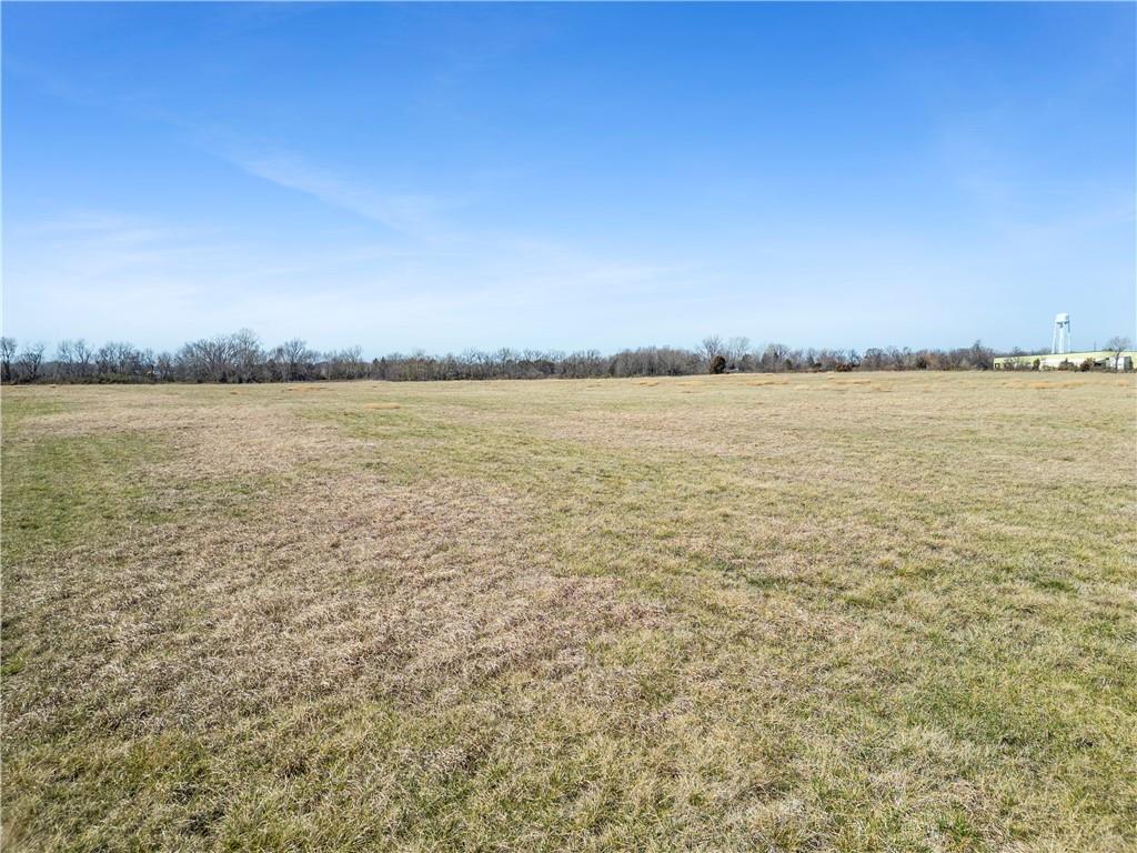 South Click Street Nevada, MO 64772 - Photo 19 of 22