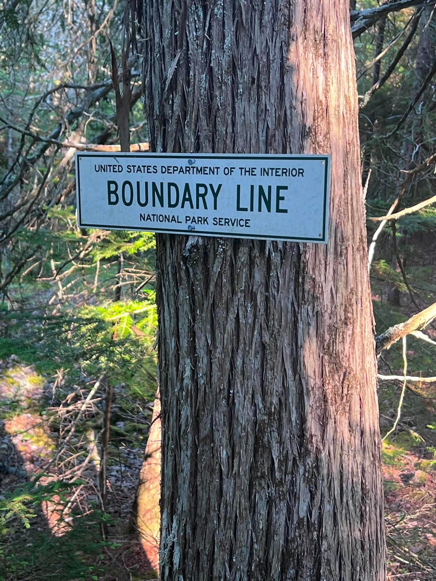 161 Birch-Harbor Road Winter Harbor, ME 04693 - Photo 40 of 40 Boundary line to Schooidic