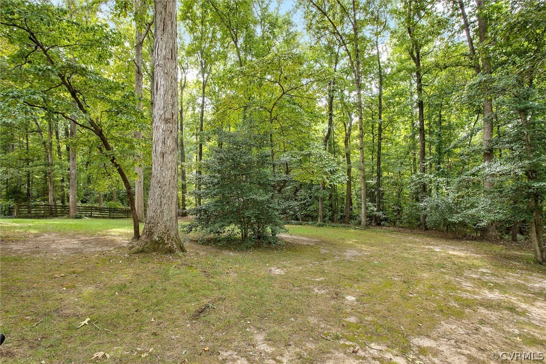 1006 Castle Hollow Road Midlothian, VA 23114 - Photo 40 of 42 a view of a field with trees in the background