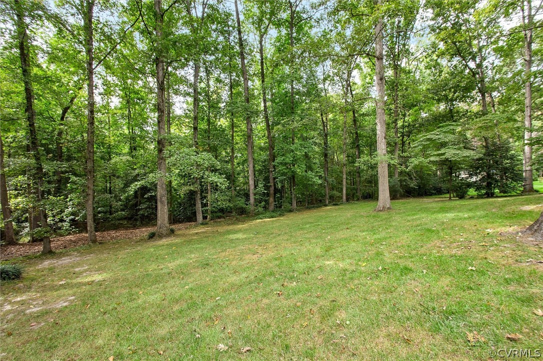 1006 Castle Hollow Road Midlothian, VA 23114 - Photo 41 of 42 a view of a field with trees in front of the house