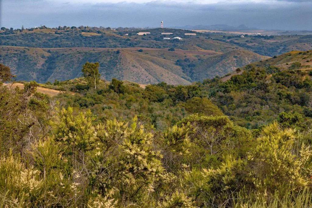 6 Harris Drive Fallbrook, CA 92028 - Photo 14 of 33 an aerial view of mountain with outdoor space