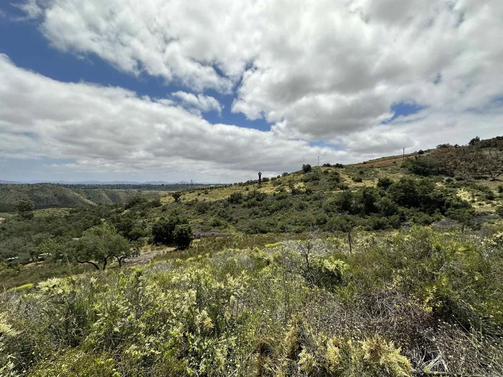 6 Harris Drive Fallbrook, CA 92028 - Photo 21 of 33 a view of a green field