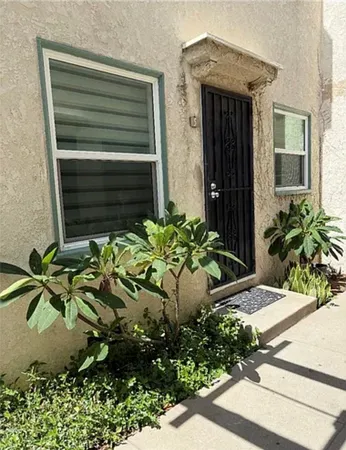 a potted plant sitting in front of a house