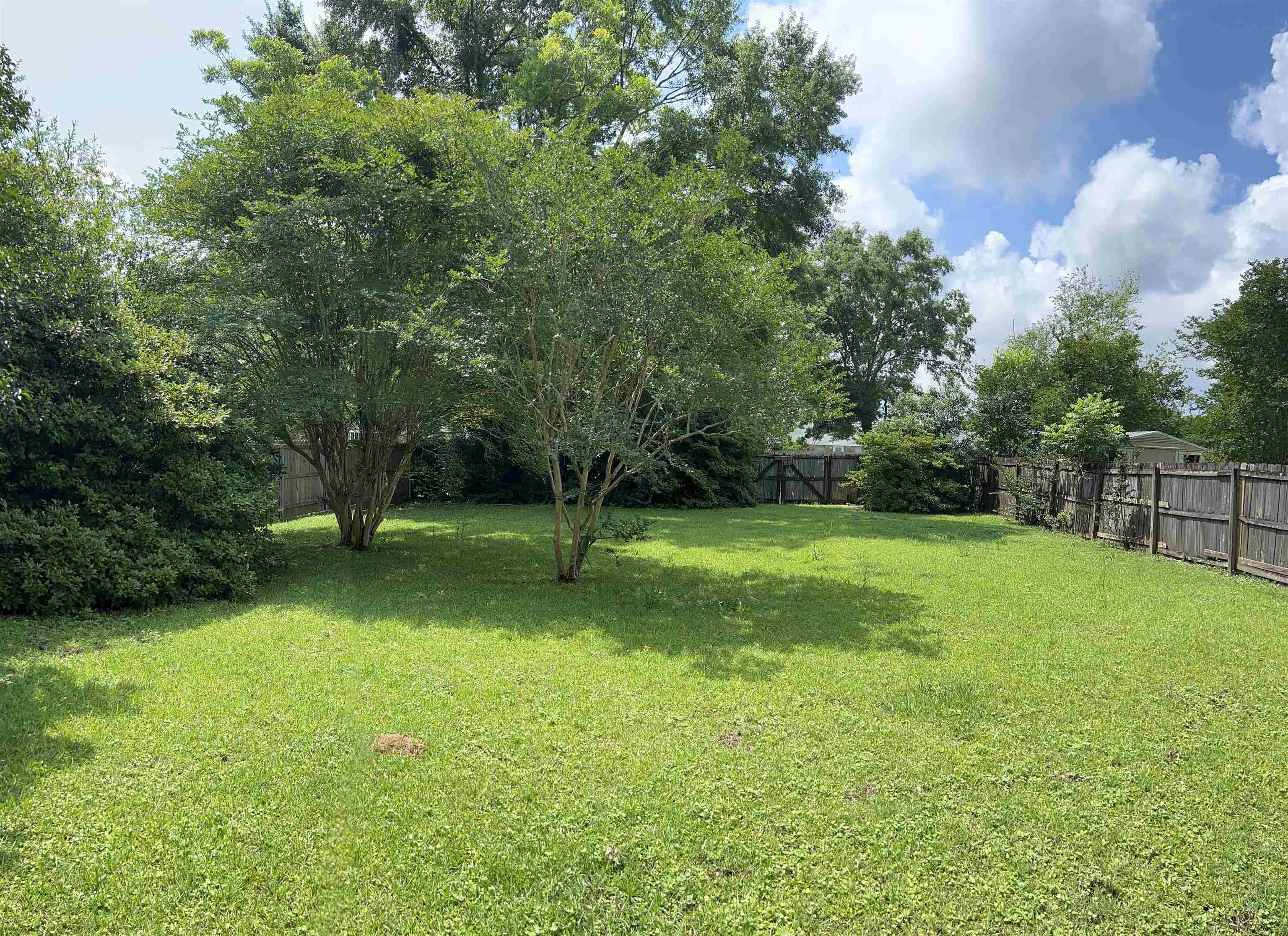 120 Davison Loop Fairhope, AL 36532 - Photo 5 of 41 Beautiful back yard