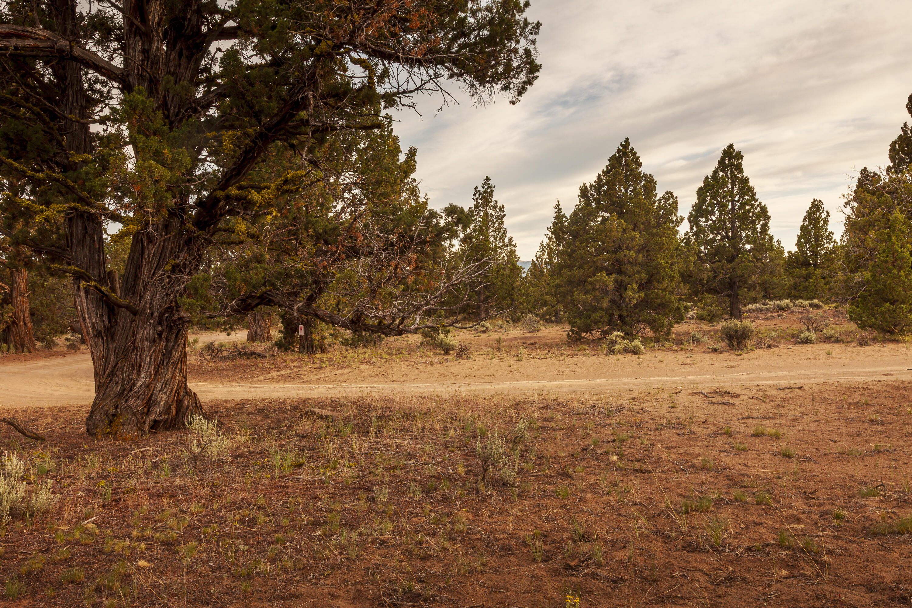 0 Rd 25 Aka Golden View Ranch Rd Bend, Unit LOT 30 Bend, OR 97701 - Photo 20 of 34 Approximate NE corner of the lot (looking South).