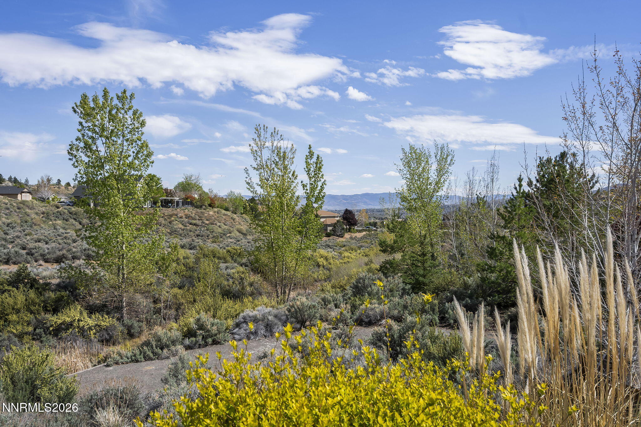 2900 Moose Ridge Drive Reno, NV 89523 - Photo 35 of 43 a view of a bunch of flowers and trees