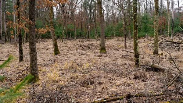 $129,000 | Lot 1-14 Ac Dover, Grand Marsh, WI 53936