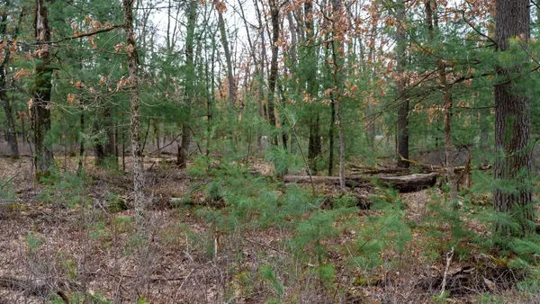 $129,000 | Lot 1-14 Ac Dover, Grand Marsh, WI 53936