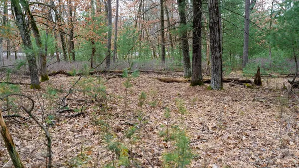 $129,000 | Lot 1-14 Ac Dover, Grand Marsh, WI 53936