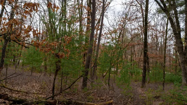 $129,000 | Lot 1-14 Ac Dover, Grand Marsh, WI 53936