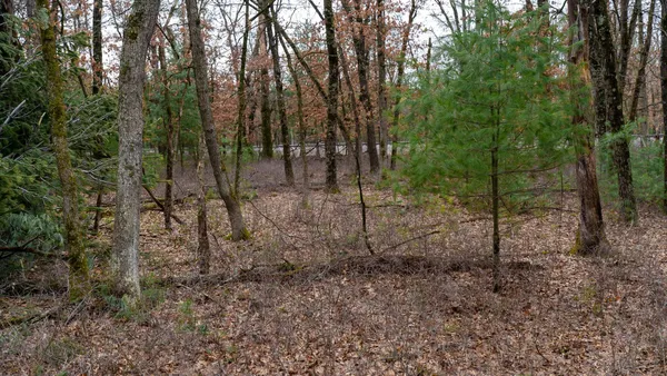 $129,000 | Lot 1-14 Ac Dover, Grand Marsh, WI 53936