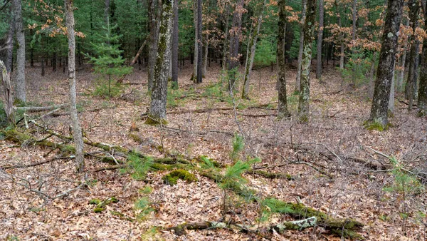 $129,000 | Lot 1-14 Ac Dover, Grand Marsh, WI 53936
