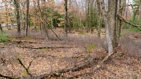 $129,000 | Lot 1-14 Ac Dover, Grand Marsh, WI 53936