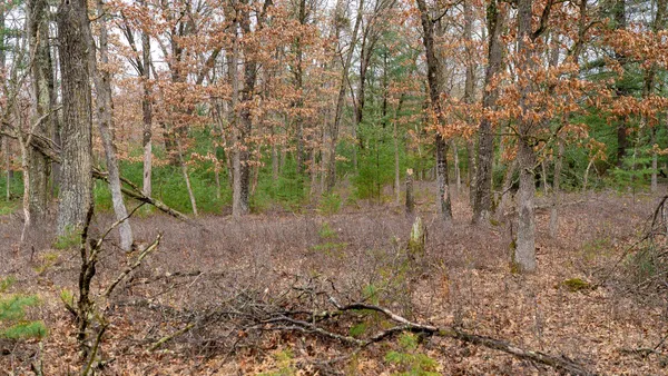 $129,000 | Lot 1-14 Ac Dover, Grand Marsh, WI 53936