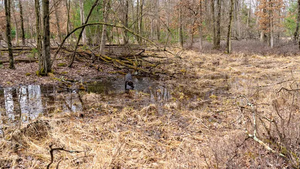 $129,000 | Lot 1-14 Ac Dover, Grand Marsh, WI 53936