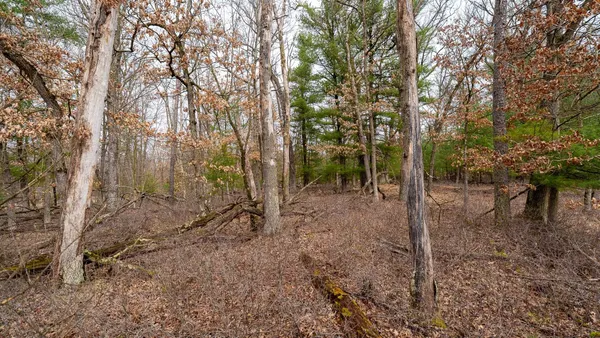 $129,000 | Lot 1-14 Ac Dover, Grand Marsh, WI 53936
