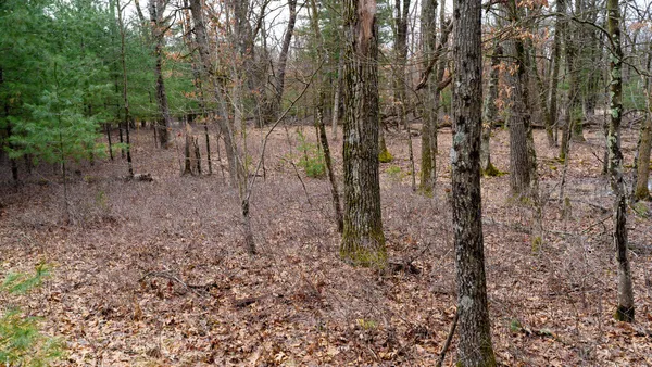 $129,000 | Lot 1-14 Ac Dover, Grand Marsh, WI 53936