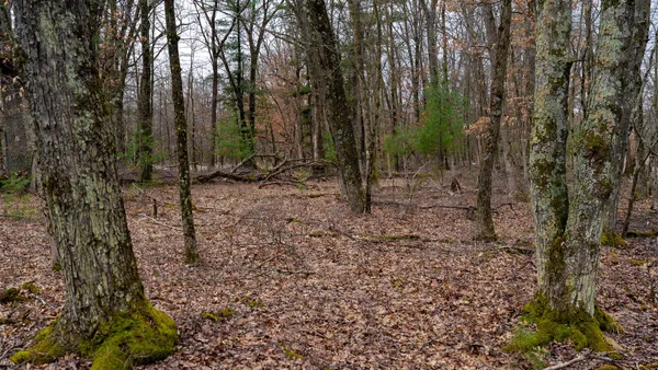 $129,000 | Lot 1-14 Ac Dover, Grand Marsh, WI 53936