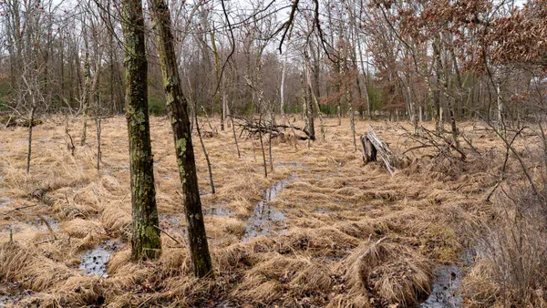 $129,000 | Lot 1-14 Ac Dover, Grand Marsh, WI 53936