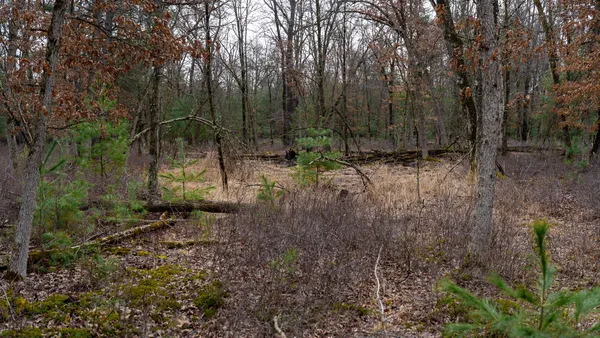 $129,000 | Lot 1-14 Ac Dover, Grand Marsh, WI 53936