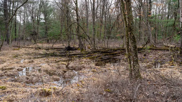 $129,000 | Lot 1-14 Ac Dover, Grand Marsh, WI 53936