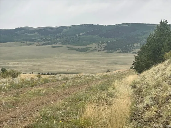 a view of a field