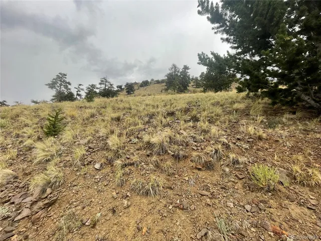 a view of a field with trees in the background