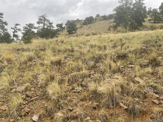 a view of a wooden door and lake view