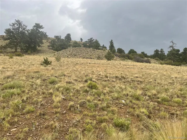 a close view of vanity and shower