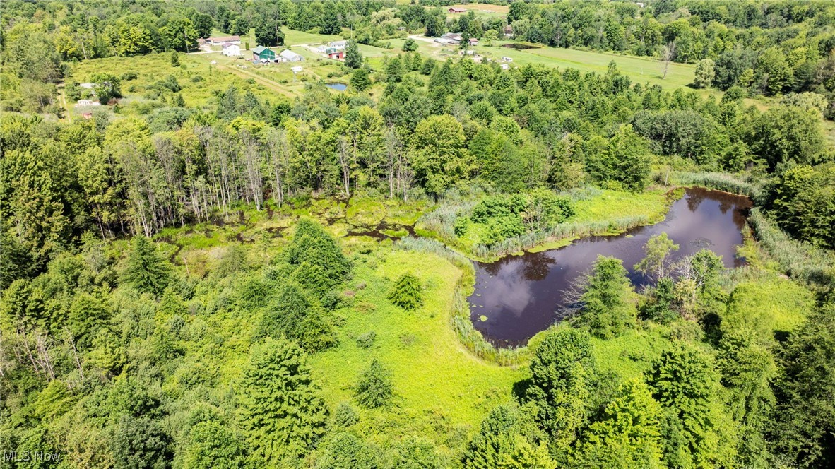 876 Clay Road Jefferson, OH 44047 - Photo 17 of 18 Drone / aerial view of a large body of water and a heavily wooded area