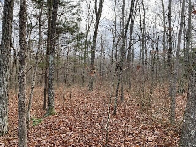 17 Myers Town Road Altamont, TN 37301 - Photo 2 of 8 Gallery Image 2
