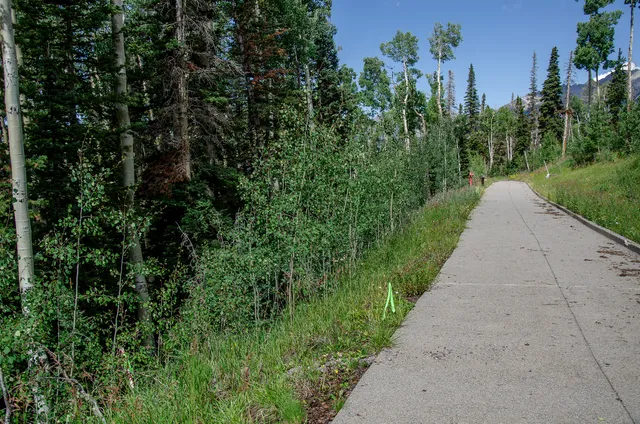 $3,225,000 | 11 Horseshoe Lane, Mountain Village, CO 81435