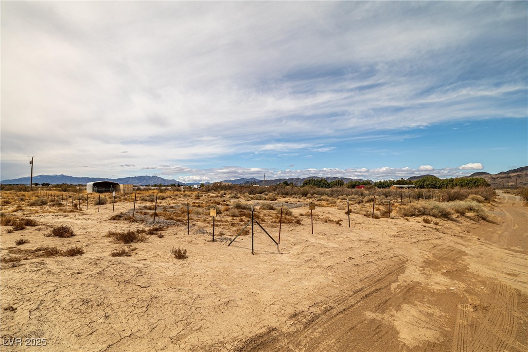 1411 West Harris Farm Road Pahrump, NV 89060 - Photo 13 of 25 View of yard with a mountain view