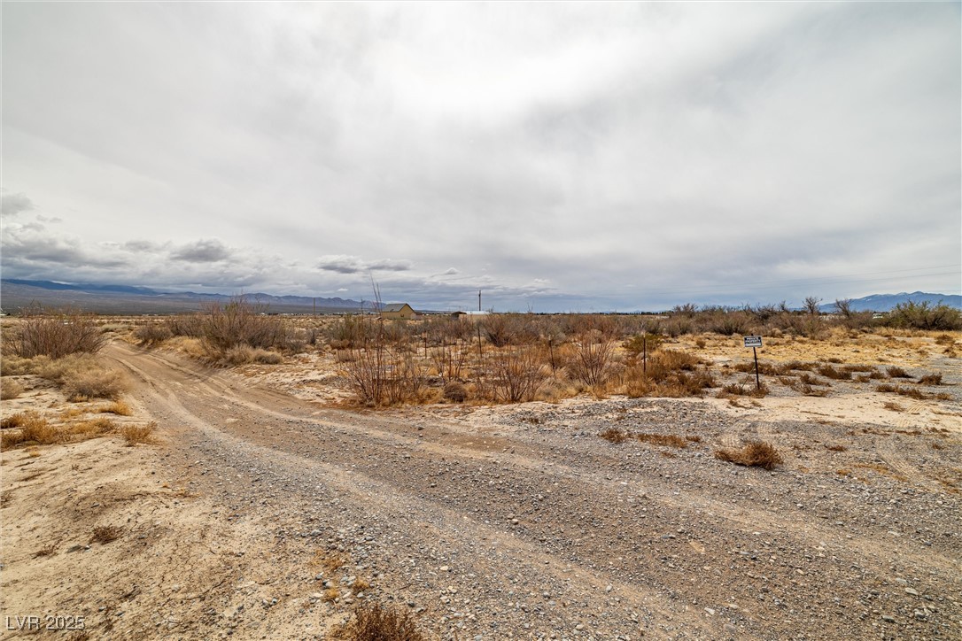 1411 West Harris Farm Road Pahrump, NV 89060 - Photo 14 of 25 View of street with a rural view