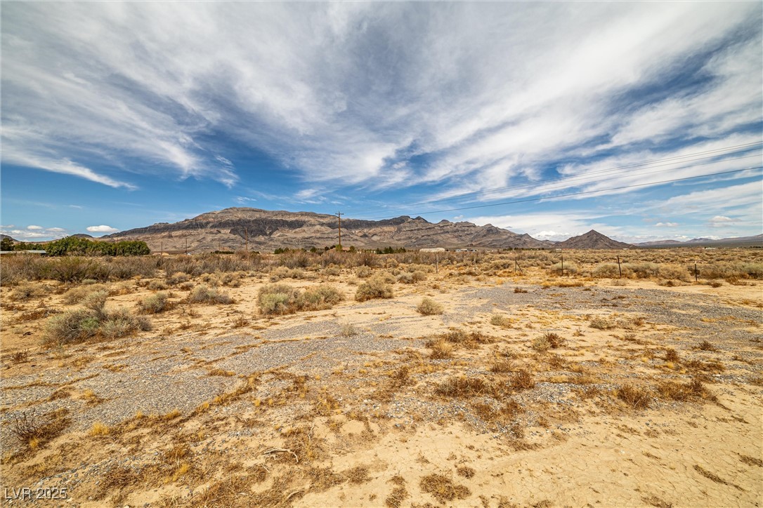 1411 West Harris Farm Road Pahrump, NV 89060 - Photo 15 of 25 Mountain view