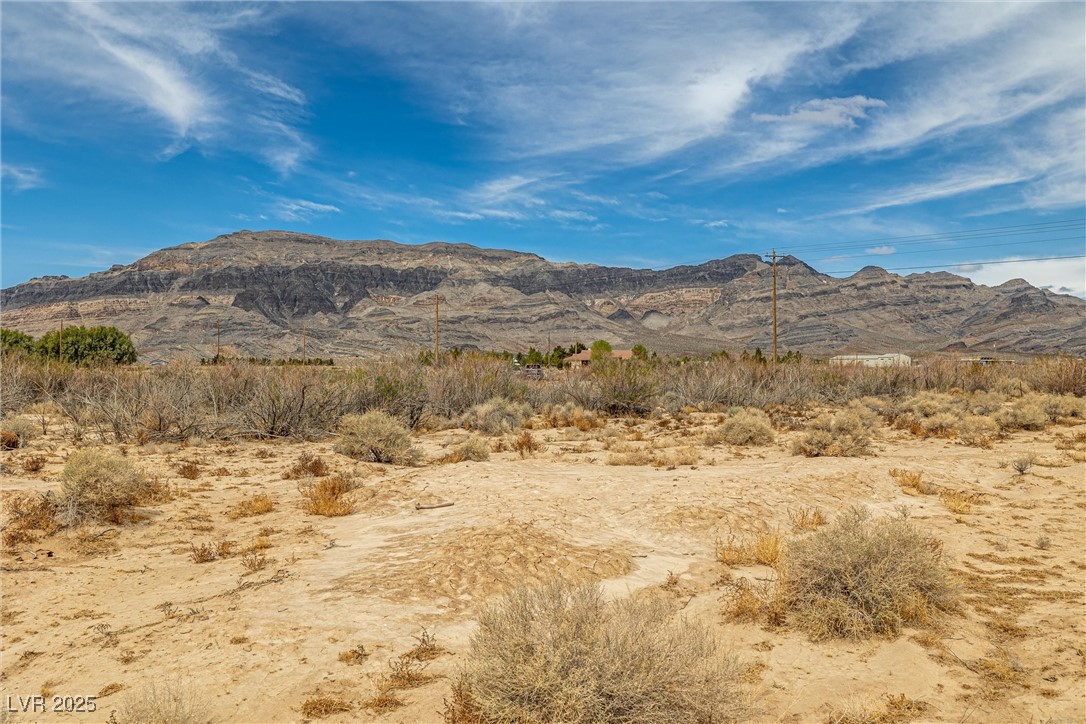 1411 West Harris Farm Road Pahrump, NV 89060 - Photo 18 of 25 Mountain view
