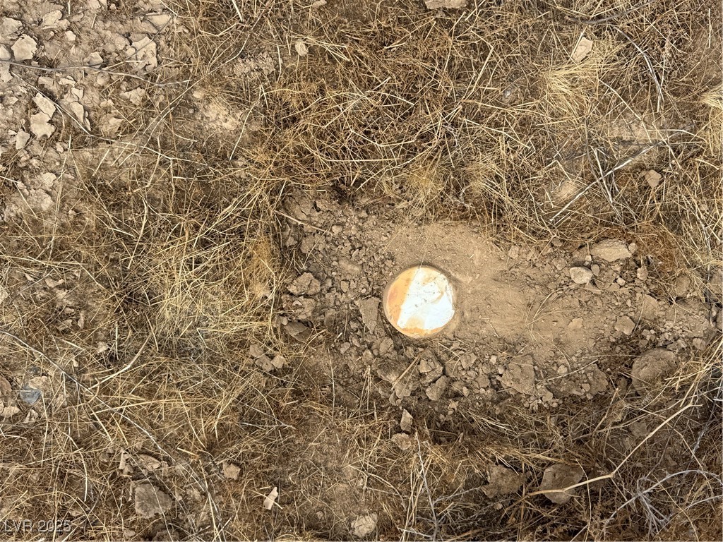 1411 West Harris Farm Road Pahrump, NV 89060 - Photo 23 of 25 Septic cap