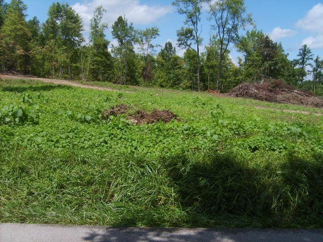 998 Auger Springs Road Corbin, KY 40701 - Photo 1 of 2 Photo 1