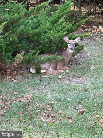 $719,000 | 44424 Livonia Terrace, Ashburn, VA 20147