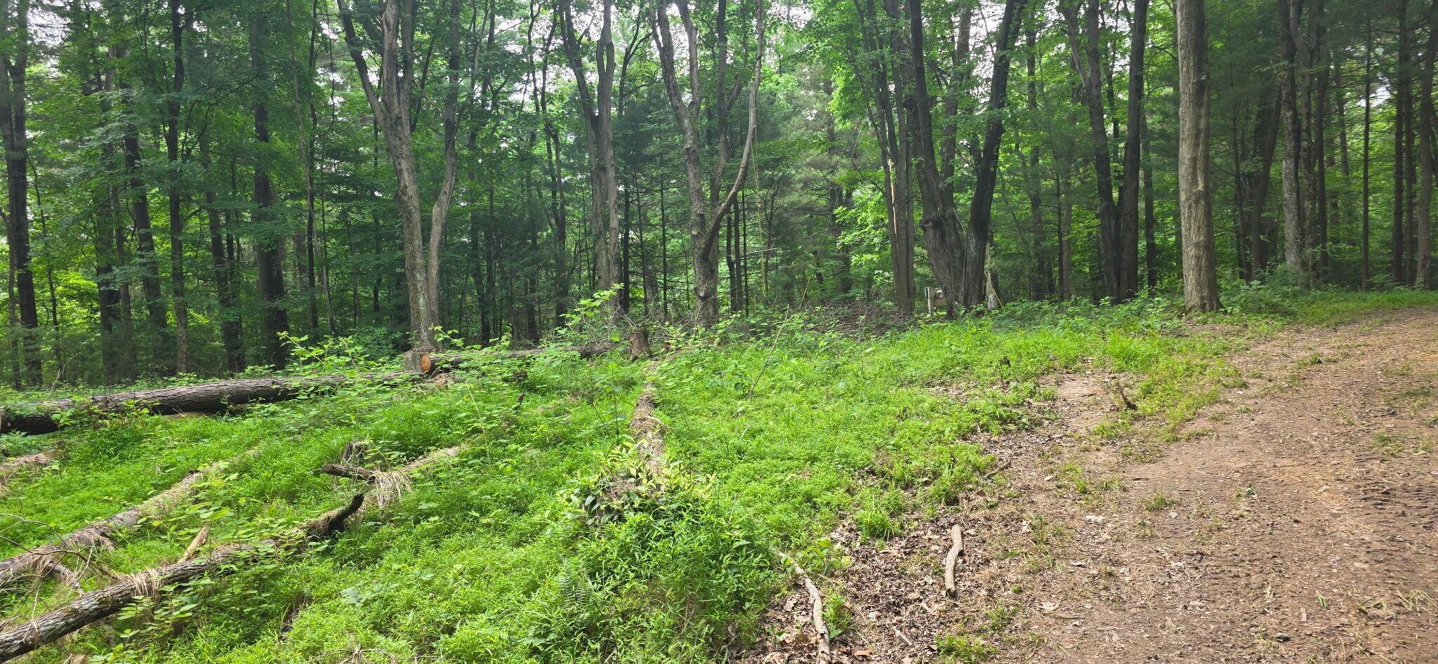 2709 Arter Road Southwest Lancaster, OH 43130 - Photo 16 of 39