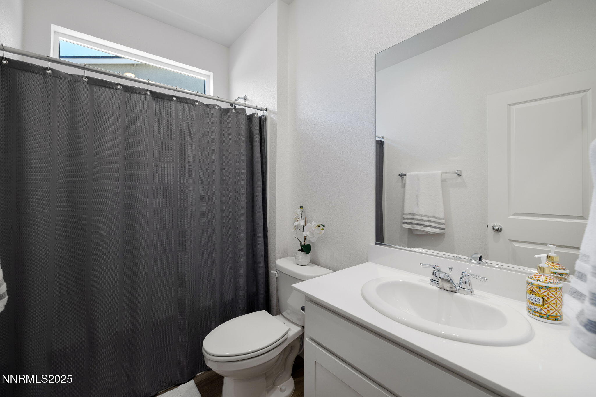 847 Schell Crk Drive Dayton, NV 89403 - Photo 20 of 31 a bathroom with a sink a toilet a mirror and shower curtain